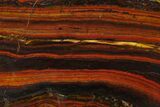 Polished Tiger Iron Stromatolite - Billion Years #129203-1